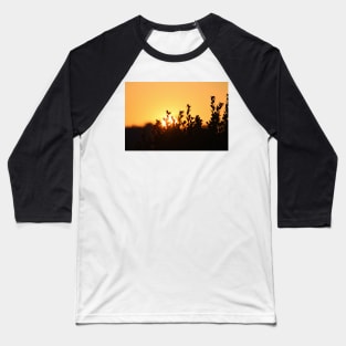 Rising Sun Baseball T-Shirt